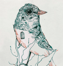 Ink Bird Sketches collection image