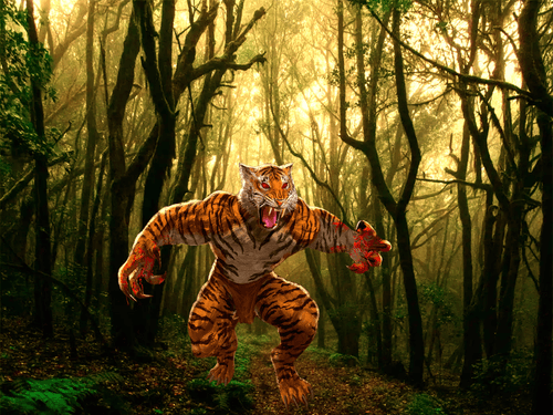 The Legend of CINDAKU, a Man Tiger From Sumatera Island