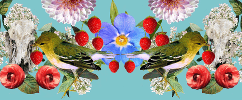 The Strawberry Thieves Banner 11