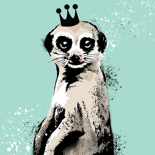 #22 / I'm the meerkat prince.