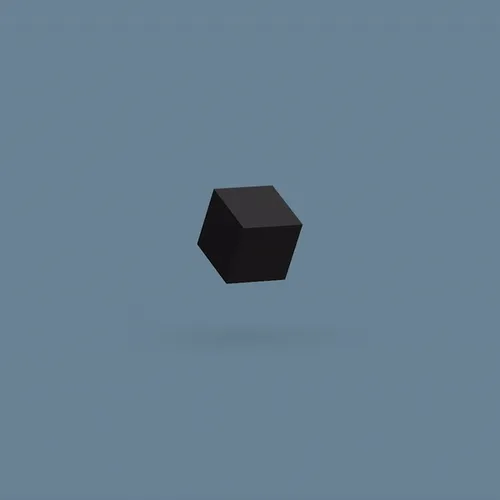 Voxel (Black)