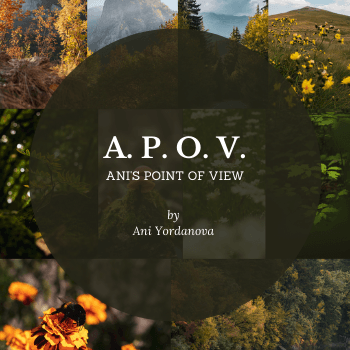 Ani's Point Of View by Ani Yordanova