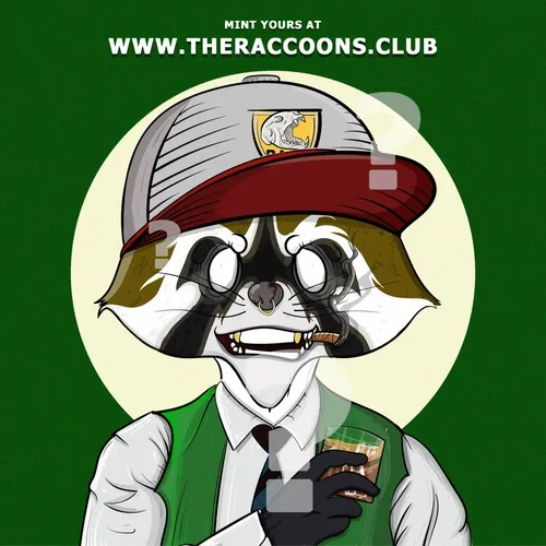 Raccoon #1177