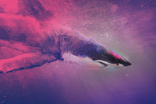 Abstract Shark 025