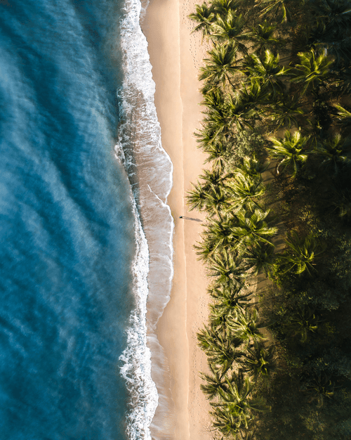 #02: Tropical Cairns