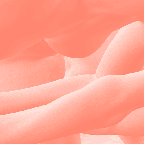 The Prudent Crop 011