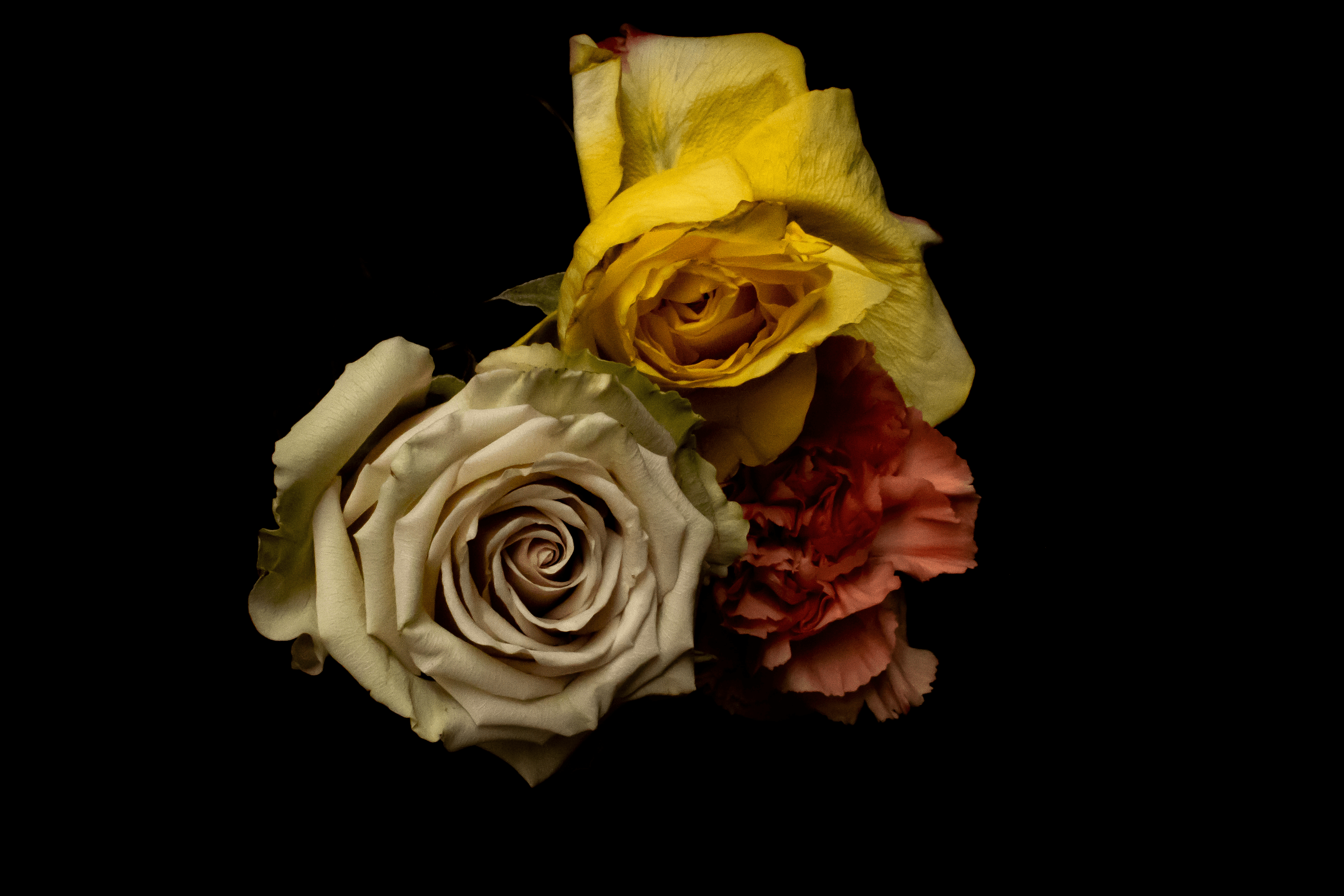 Yellow, White, and Pink Roses