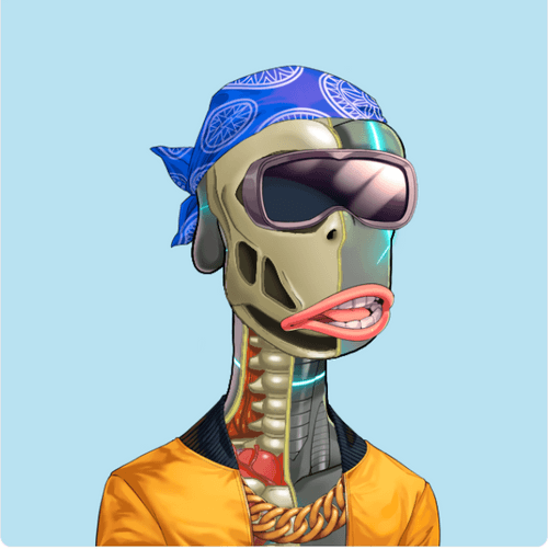 Anatomy Rare Apepe YC #2049