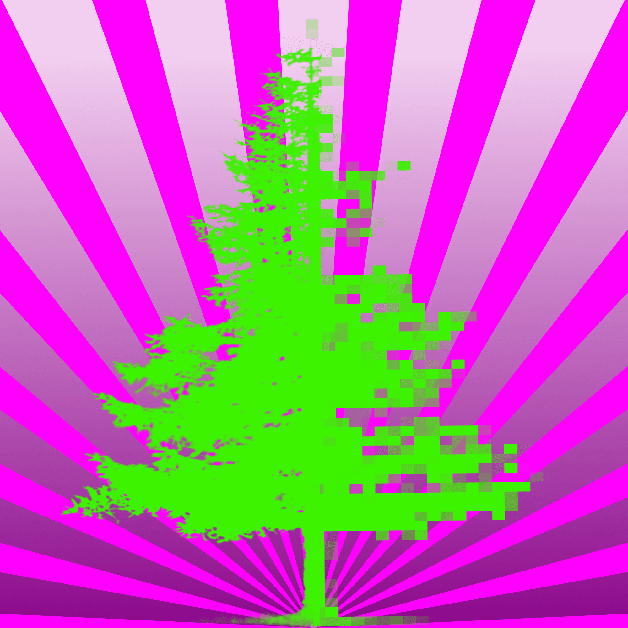 TreeHugger #17 🌲 Tree 17 of 21 Trees
