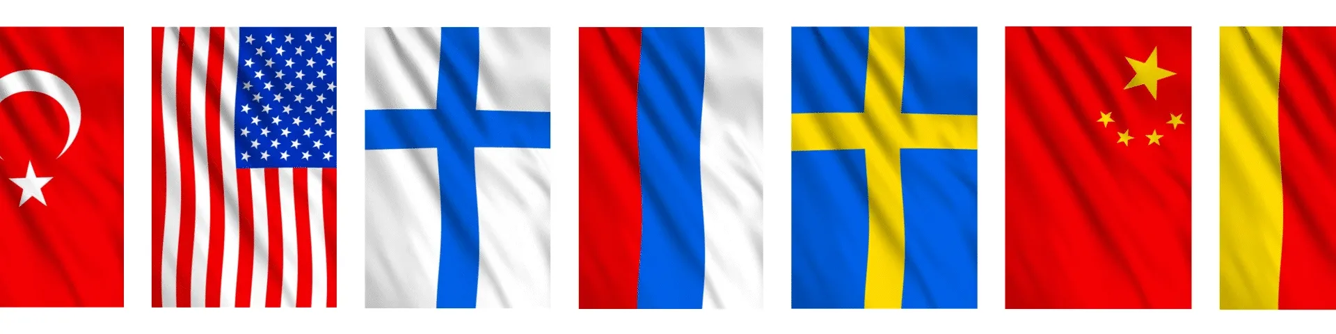Cyber Flags