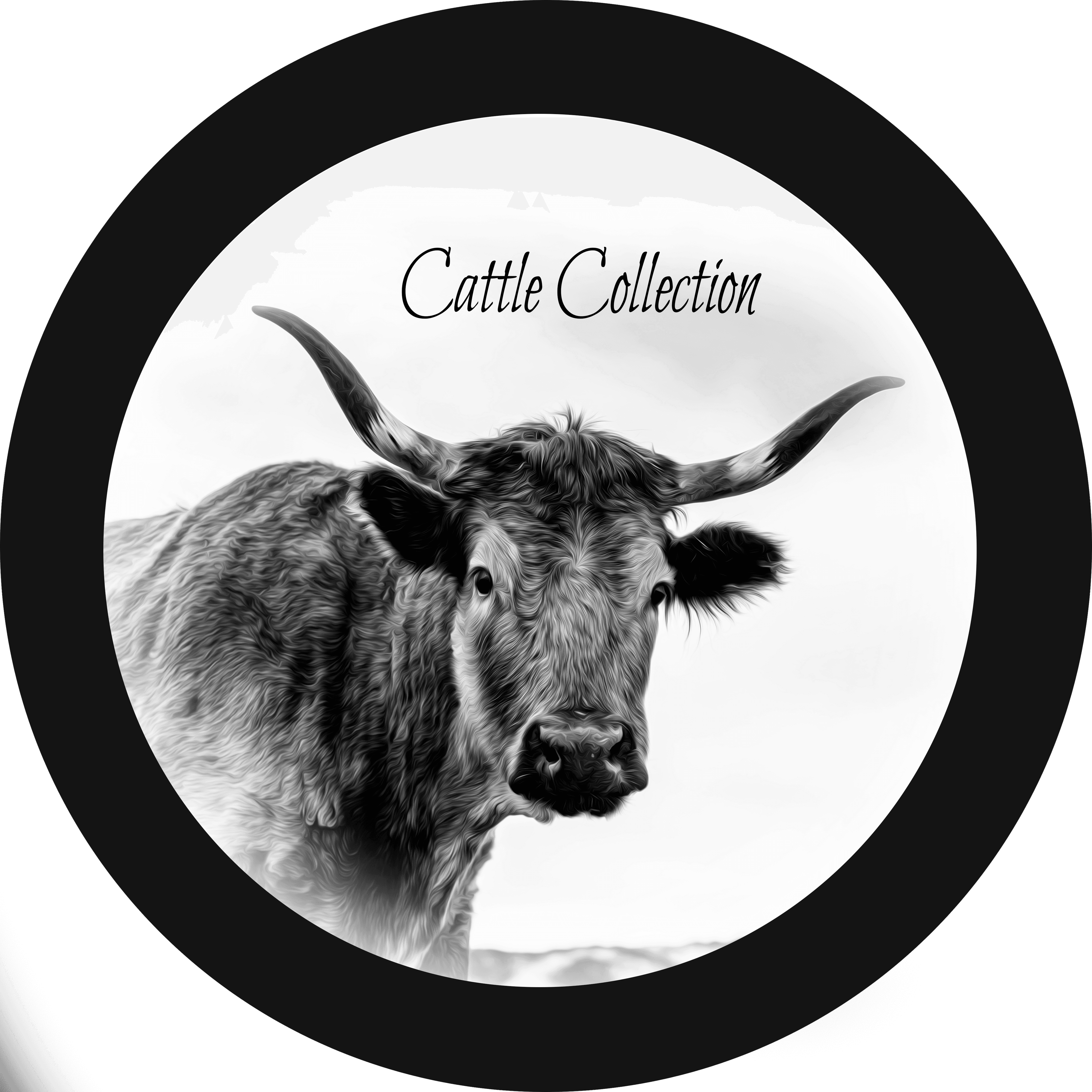 ranching-conservation-collection-collection-opensea