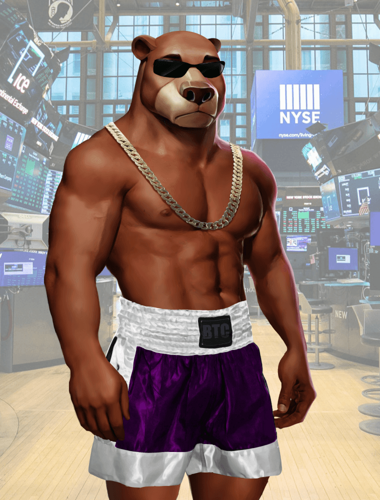 Wall Street Avatar Fighter Bear #206