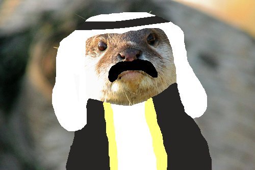 Sheikh Alwaleed bin Sharif al-Otterad