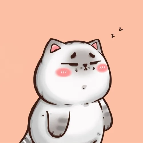hachi cat