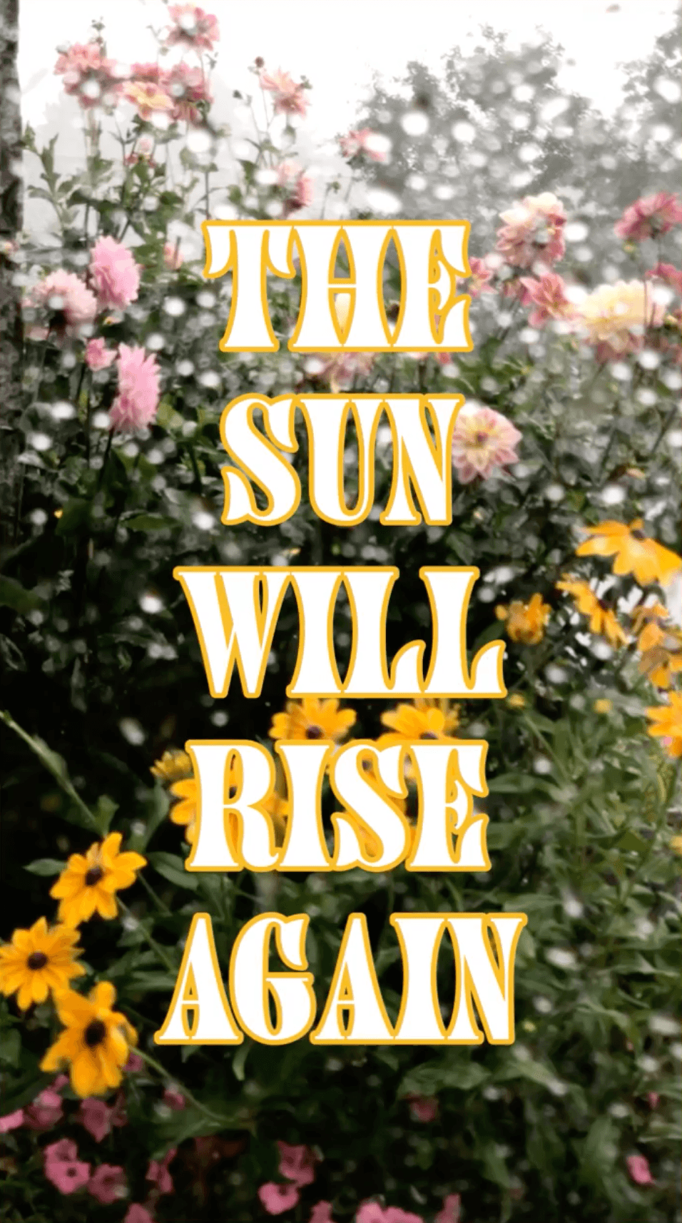The Sun Will Rise Again
