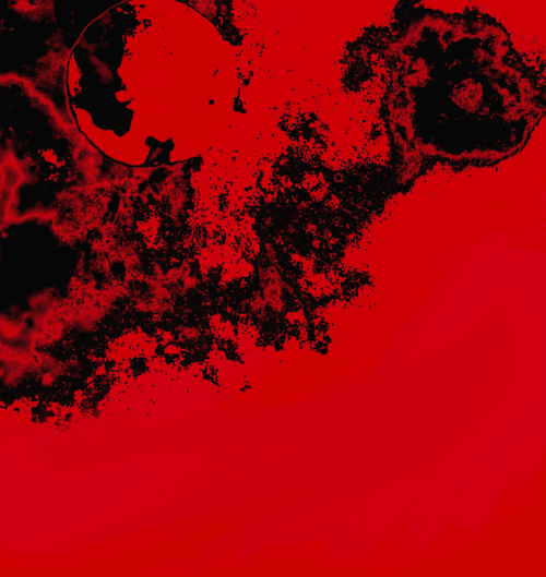 Consciousness Rising No.17