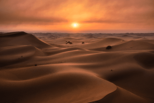 UAE Desertscapes- 25