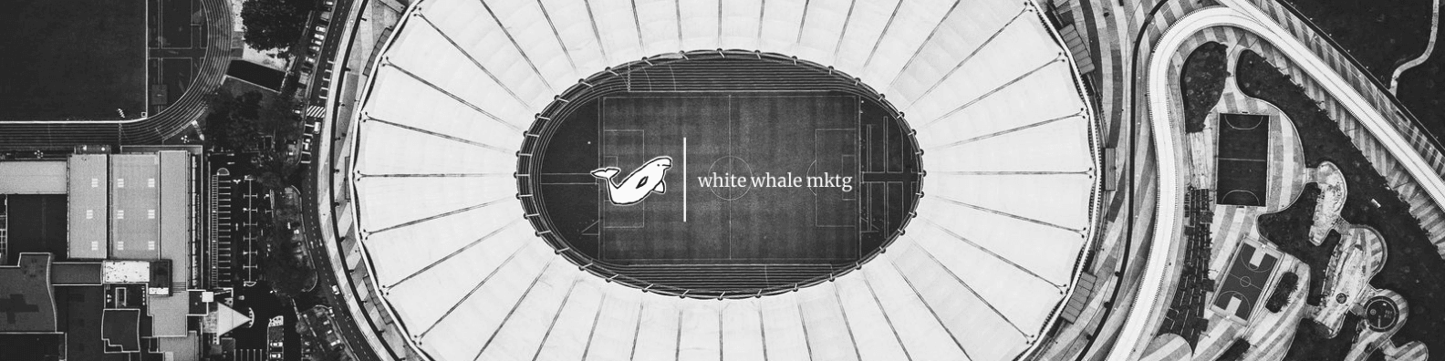 whitewhalemktg bannière