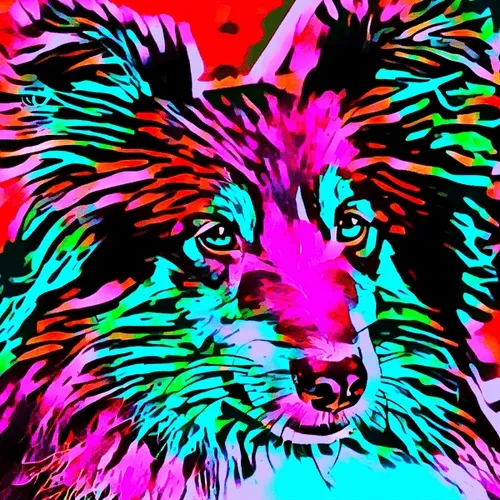 Breeds #25 (Shetland Sheepdog)
