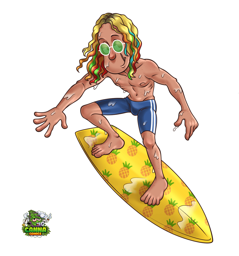 Surfer, Dude