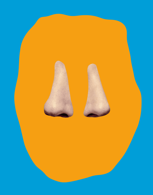 Not Baldessari