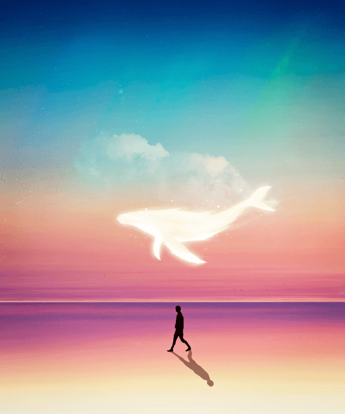 Soul Connection