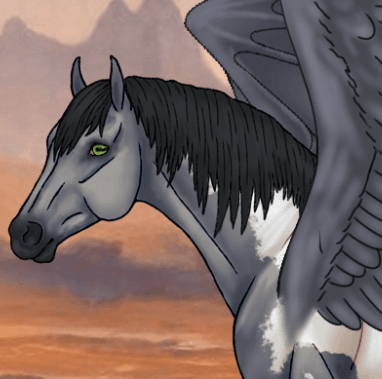 Equine Fantasy