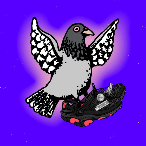 NrG PIGEONZ x CROCS HOMING PIGEON