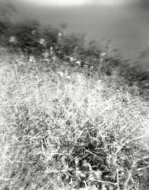 Wind Blown (2/5)
