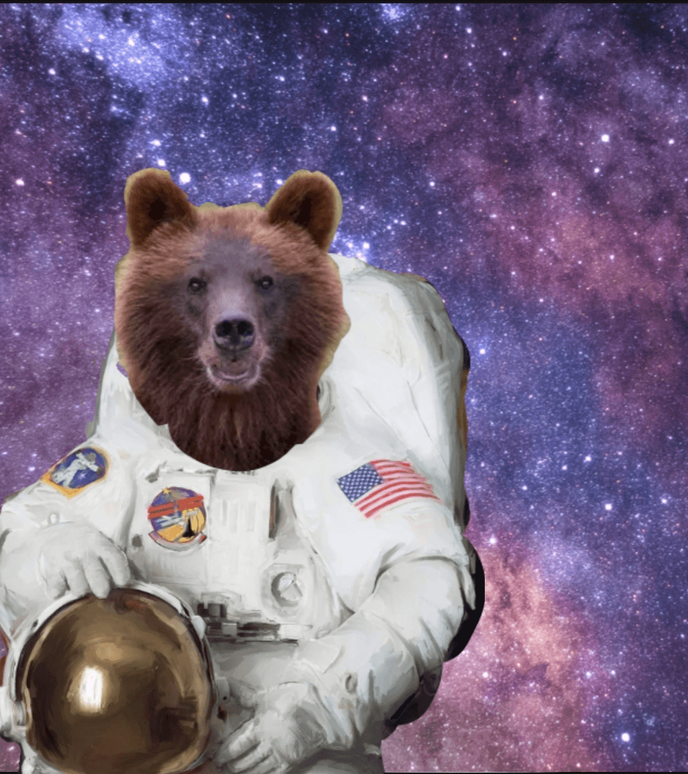brown bear astronaut - animals in space | OpenSea
