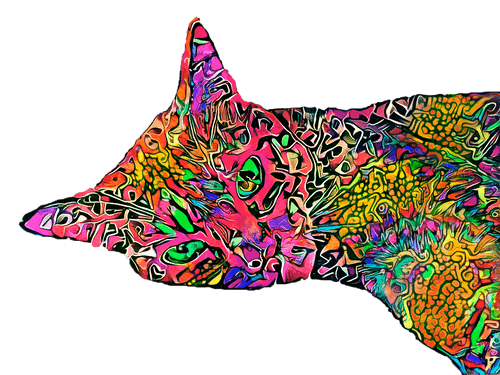 PsyCat #012