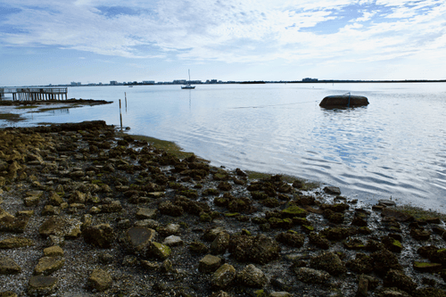 Landscapes and Seascapes V3