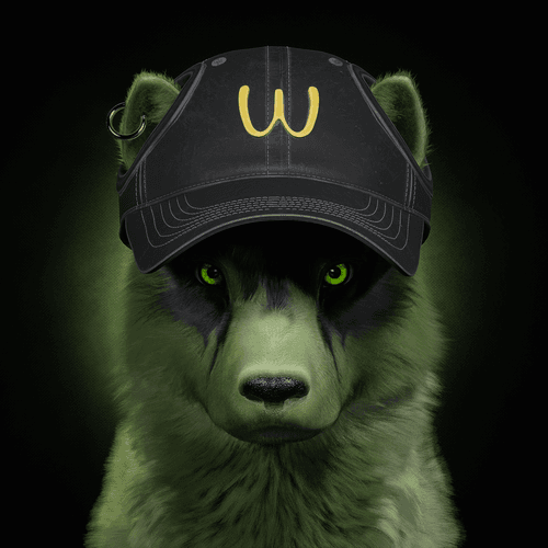 Wolf #906