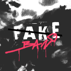 Fake band '00 collection image