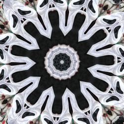 Kaleidoscopics collection image