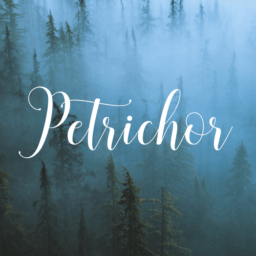 Petrichor by Jhamil Bader