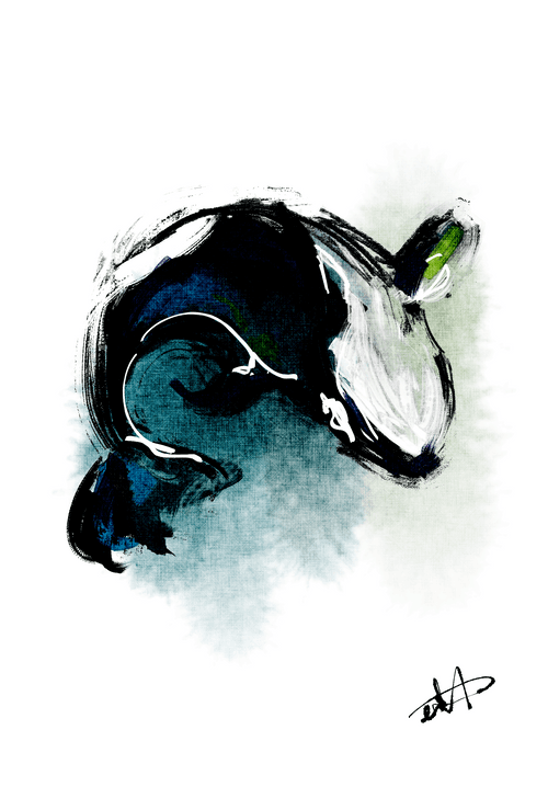 orca