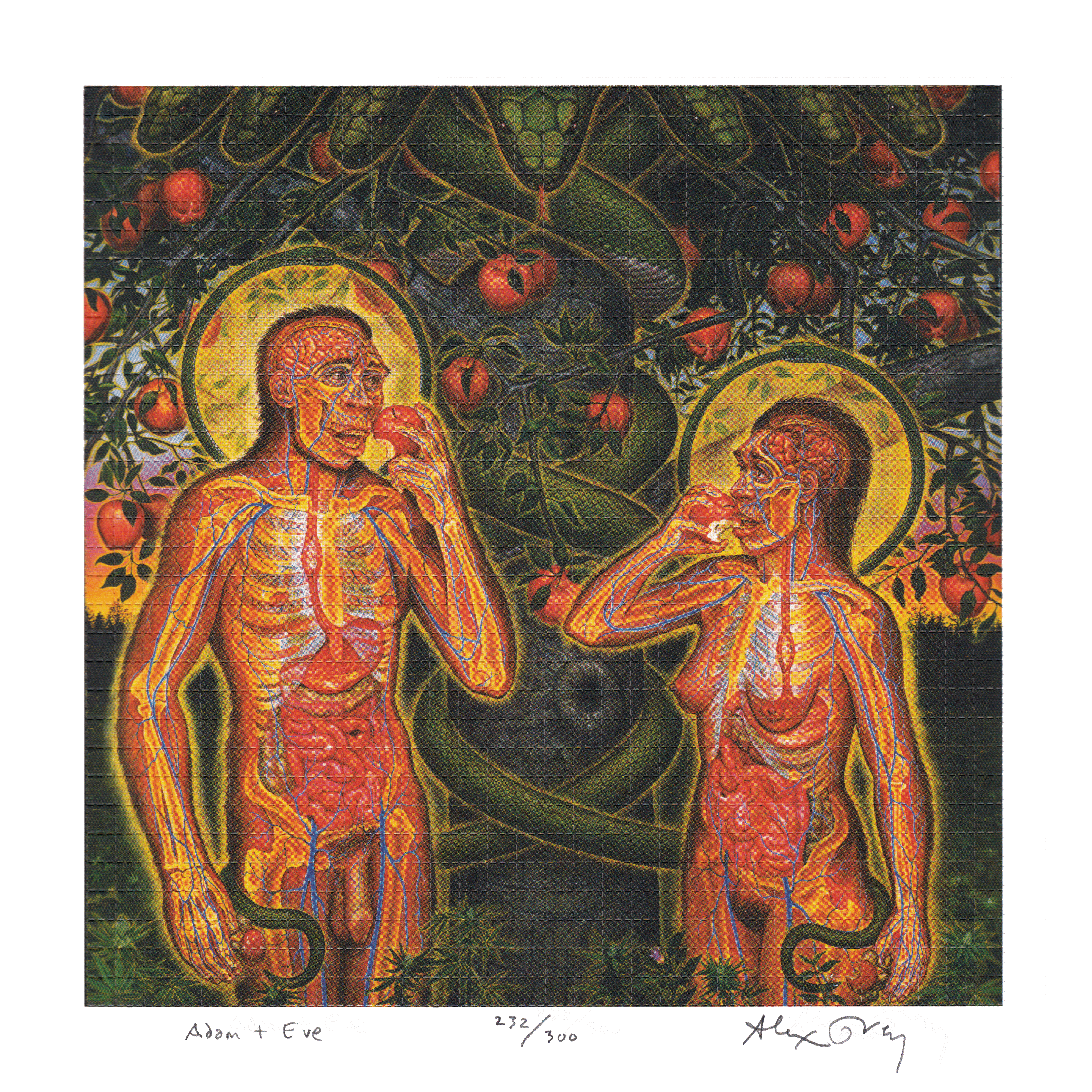 Adam & Eve by Alex Grey as LSD Blotter Art #232/300
