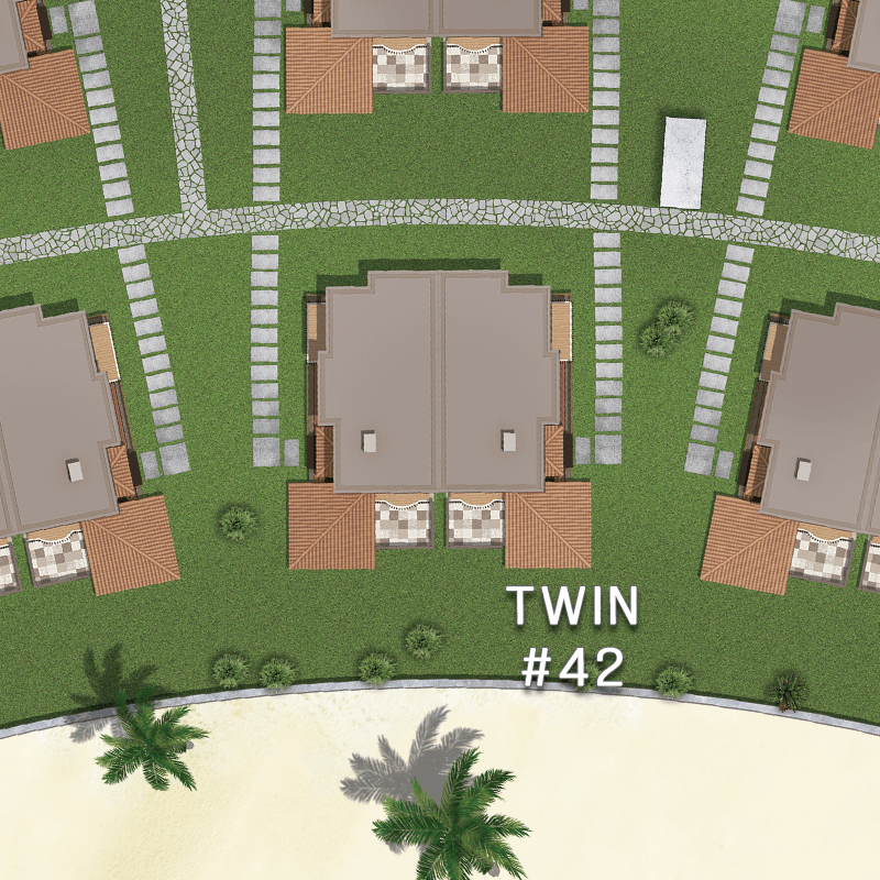 Twin #42