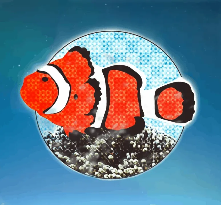 Ocean Series - Clownfish
