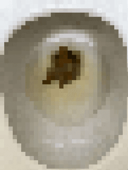 Pixelated Shit collection image