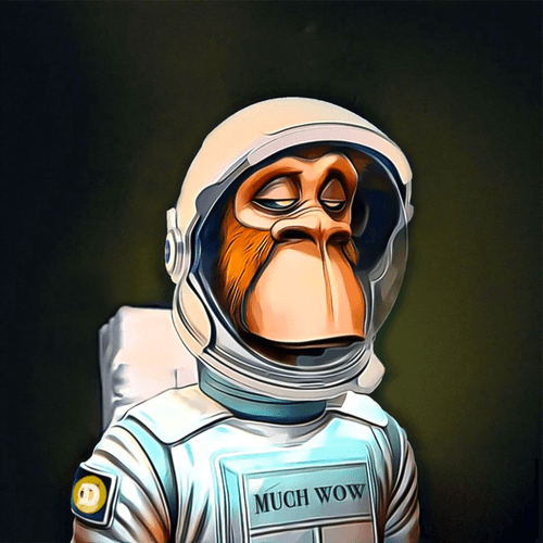 MOONKEYZ - DOGECOIN