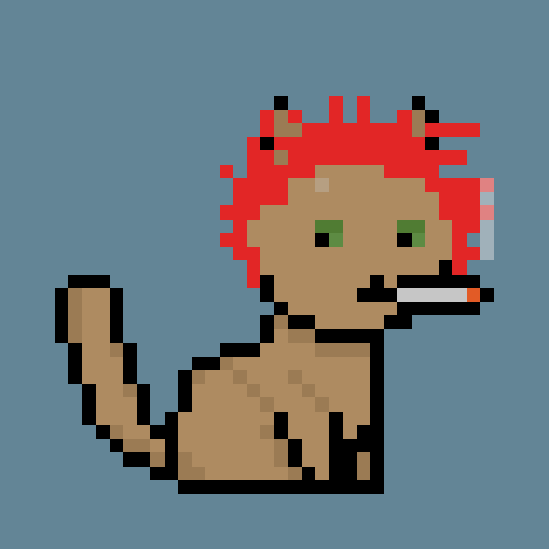 PunkCat #6347