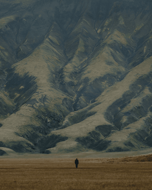 #31. The Lands