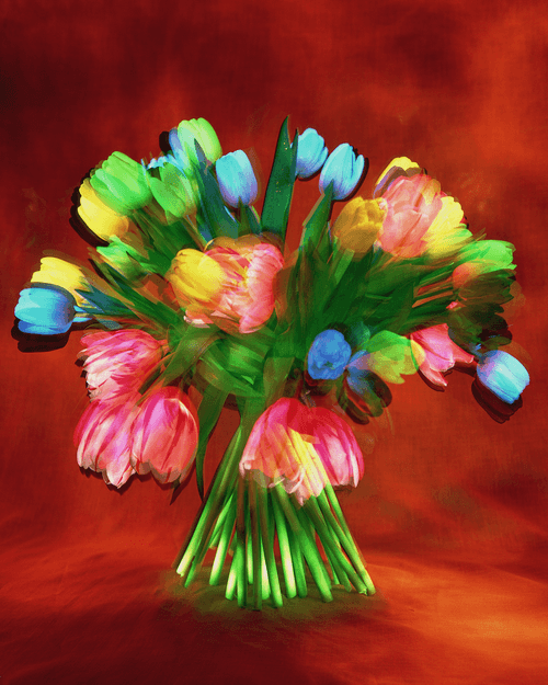 Standing Tulips; 'Psychedelic Pioneers' by Dean Chamberlain