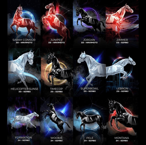 Zed Run - Foundation Top Picks