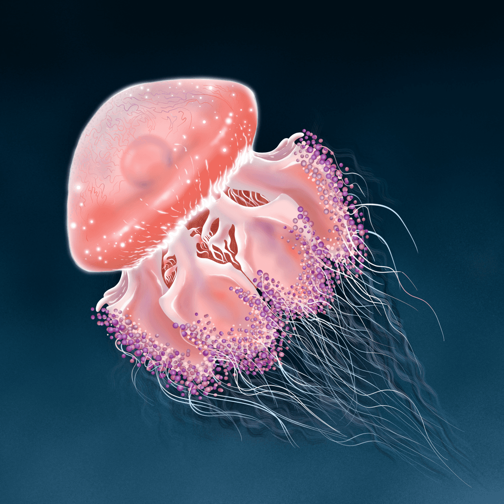 Bright Jellyfish - Reflection of the Artist's Soul | OpenSea