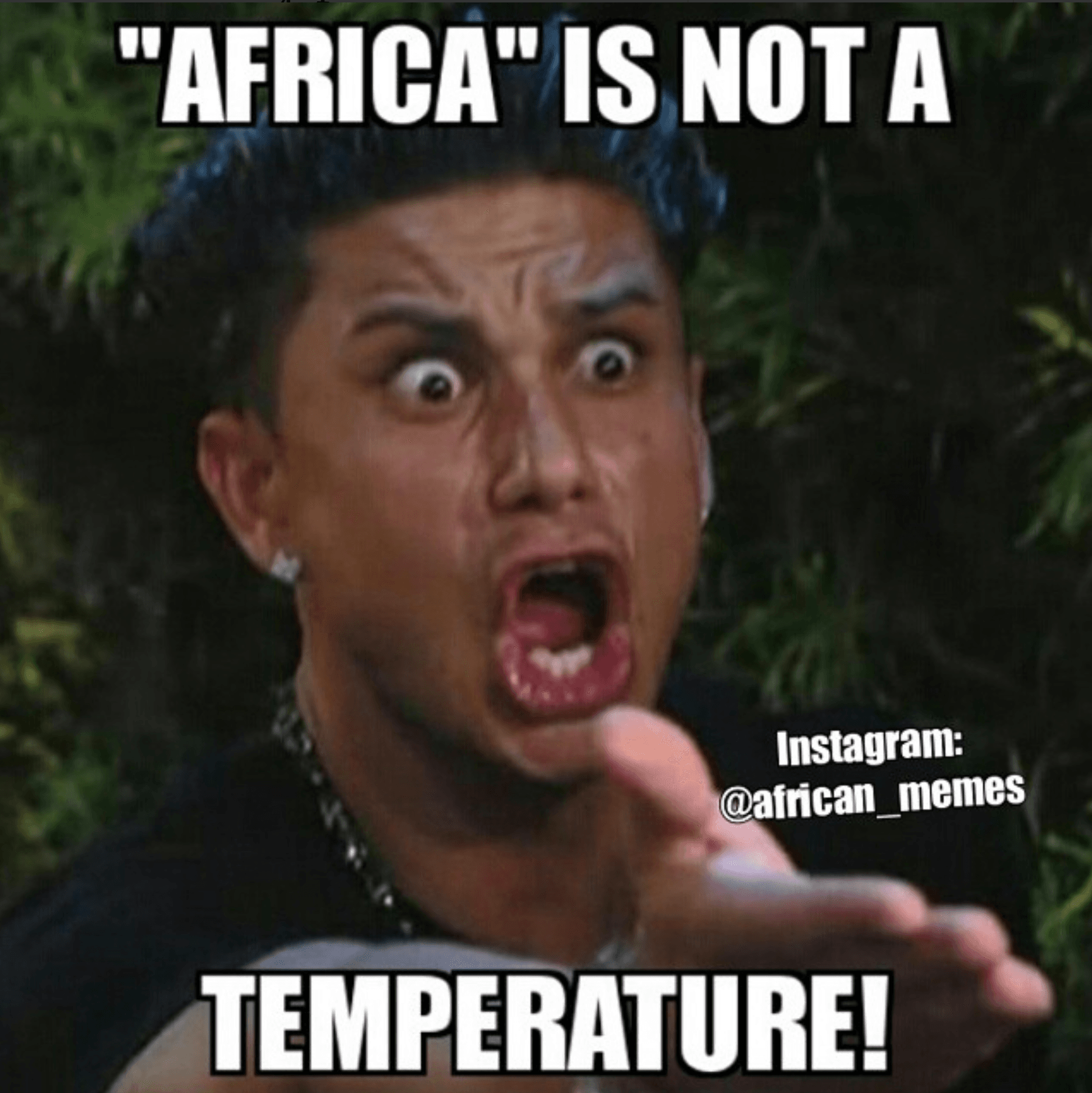 Viral Memes: Exploding Internet Culture! - 2uh9jky