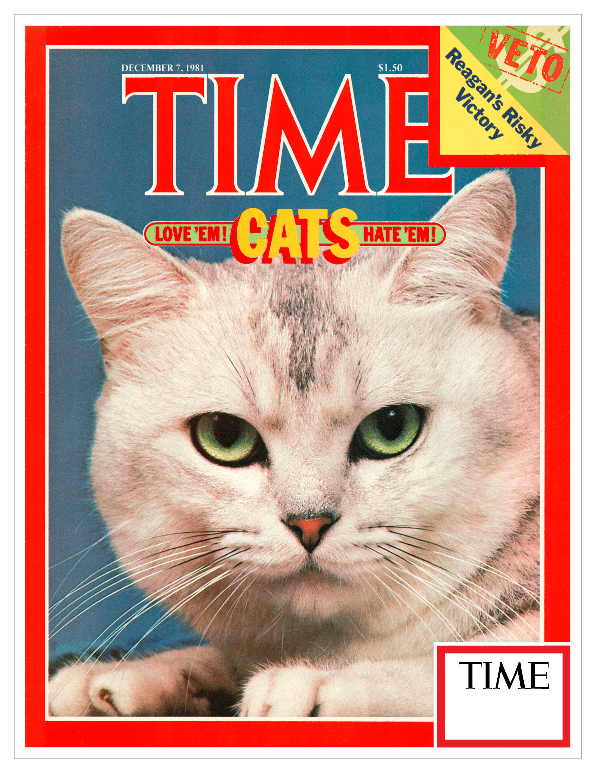 TIME Cats Love 'em! Hate 'em! - December 7th, 1981