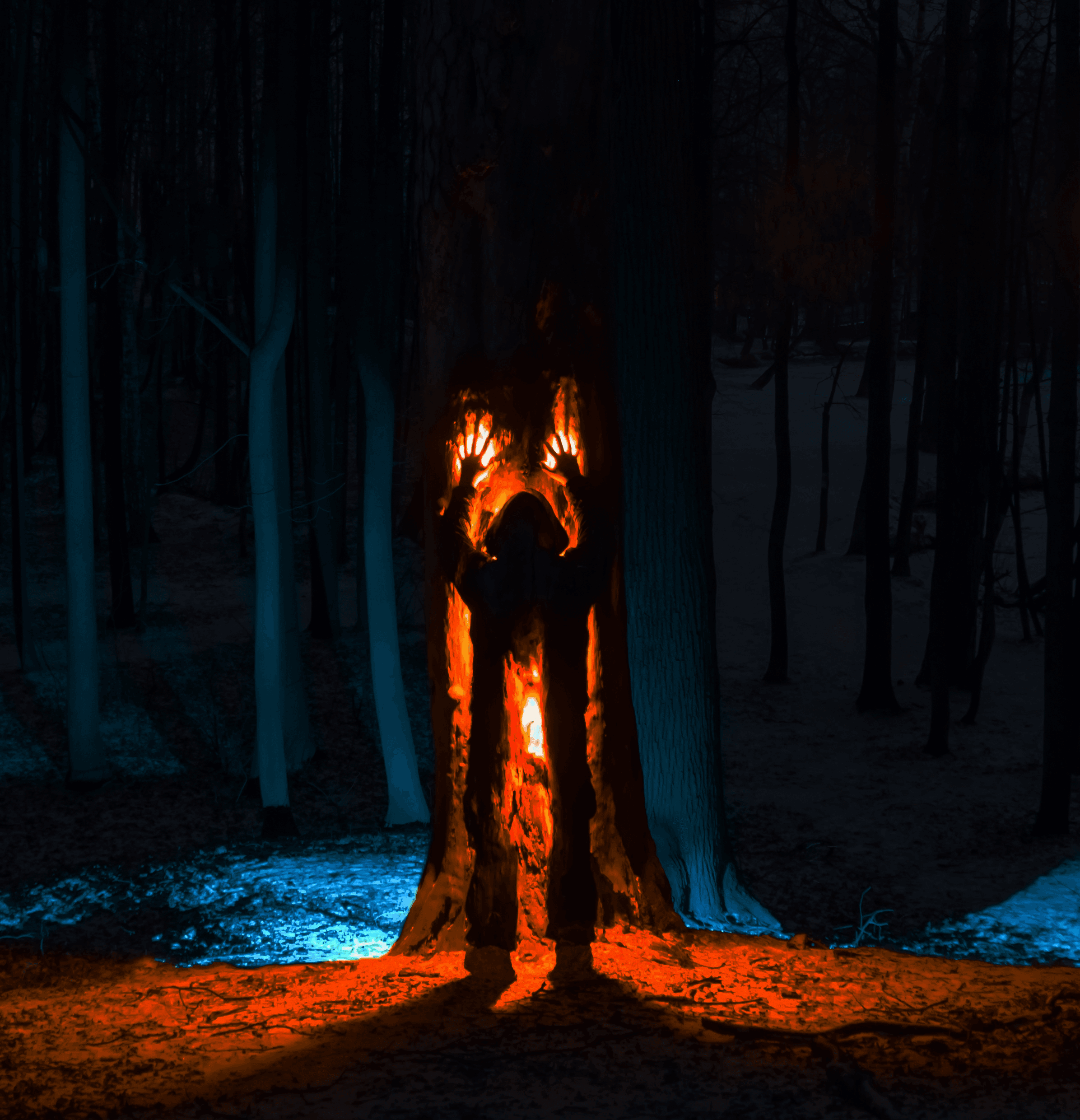 Sacrifice of a burning forest.